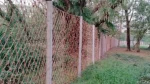 সুন্দরবনে বাঘ-মানুষের সংঘাত ঠেকাতে নাইলনের বেড়া