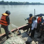 ইলিশ রক্ষায় ২২ দিনের অভিযানে ৬১ কোটি টাকার জাল-সরঞ্জাম জব্দ